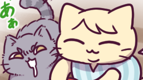 フィットする猫