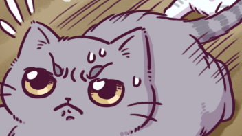 追いかけられる猫